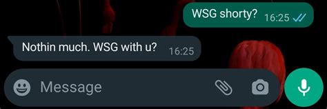 wsg meaning in text reply